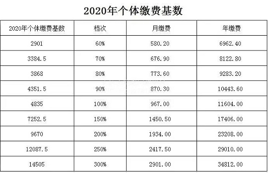 大庆2020年个人社保缴费标准,2020个体养老保险缴费基数