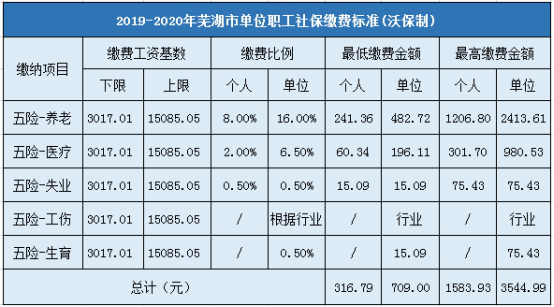 2019-2020年芜湖市企业职工社会保险缴费标准