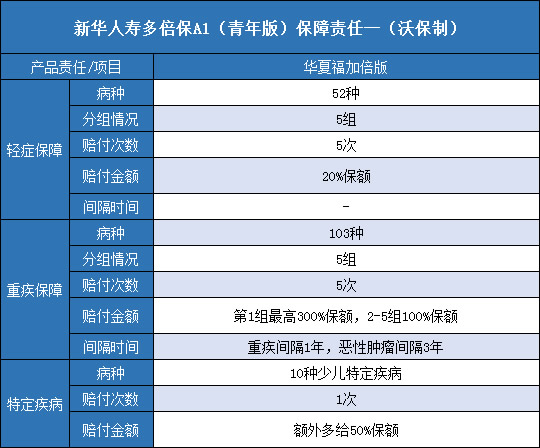 新华人寿多倍保A1