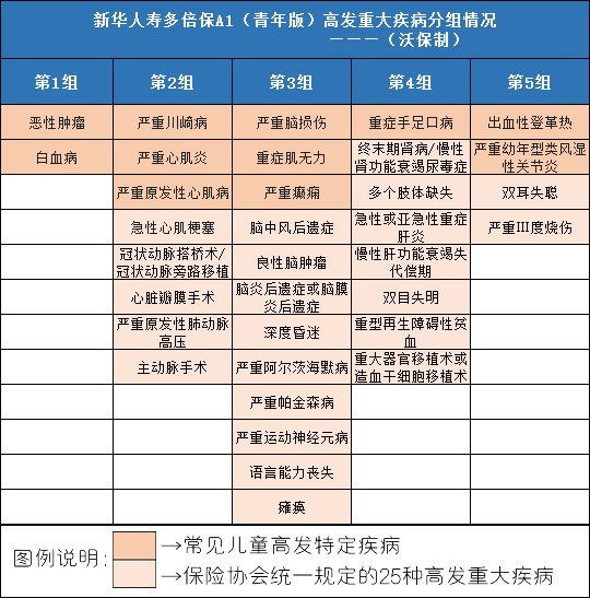 新华人寿多倍保A1