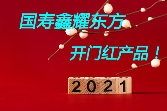 2021开门红：庆典账户顶配+顶额返还！国寿鑫耀东方现金价值高