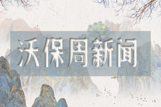 2020年11月27日保险周新闻头条合集