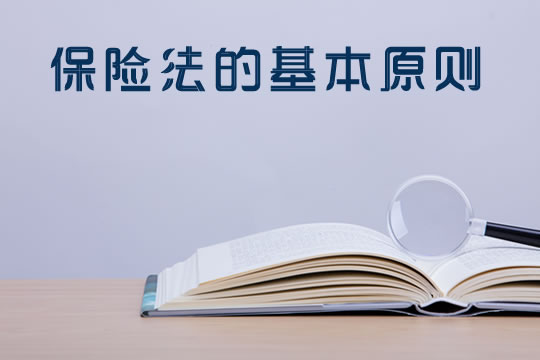 保險新聞網2022保險新聞網