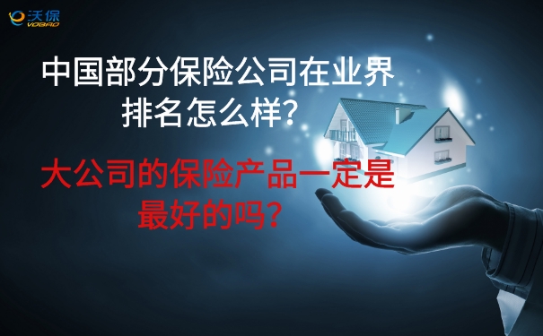 部分保险公司在业界排名？大公司的保险产品一定是最好的吗？