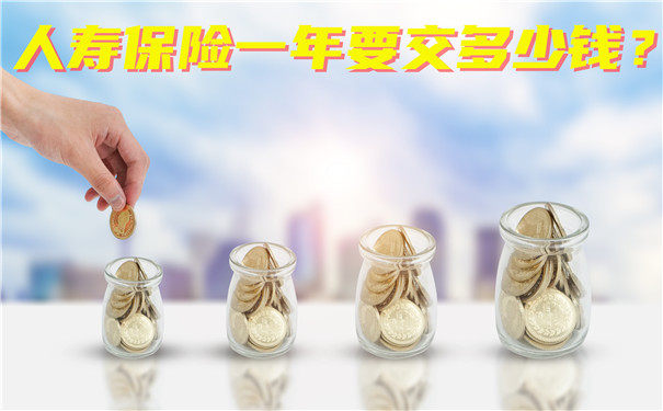 人寿保险一年要交多少钱，2021人寿保险一年要交多少钱