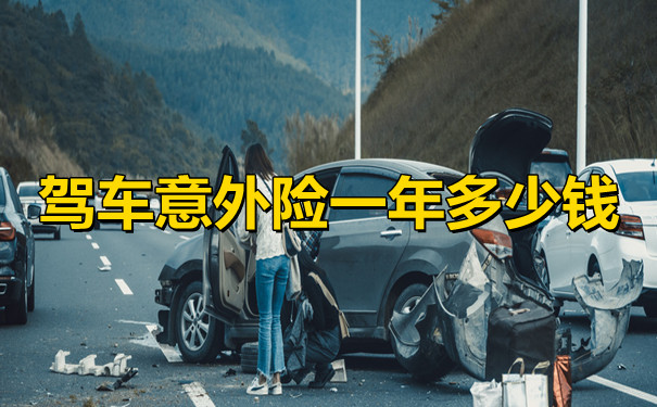 驾车意外险最高可以买到多少，驾车意外险一年多少钱