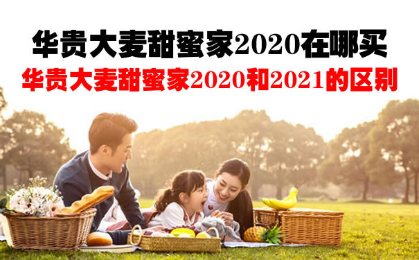 华贵大麦甜蜜家2020在哪买？华贵大麦甜蜜家2020和2021的区别？