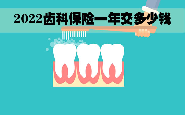 2022齿科保险一年交多少钱？牙齿保险哪里可以买