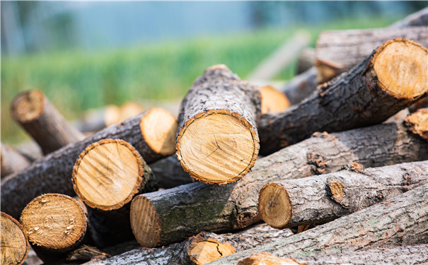 木材水解工是干什么的，公司要怎么买雇主责任险