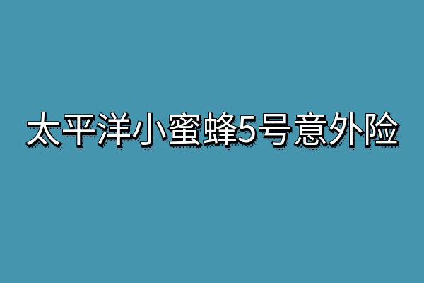 太平洋小蜜蜂5号意外险投保入口，小蜜蜂5号意外险值得买吗？