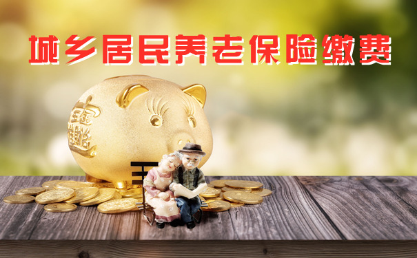 安庆农村养老保险网上缴费流程和报销比例规定