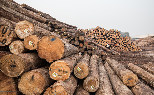 木材储藏槽工人的具体工作，雇主险与团体险的区别