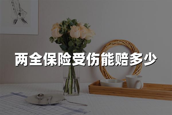 两全保险受伤了赔吗，两全保险受伤了能赔多少