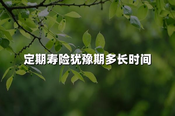 定期寿险犹豫期多长时间，定期寿险犹豫期需要注意什么？