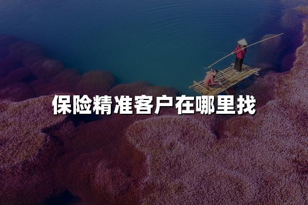 保险精准客户在哪里找