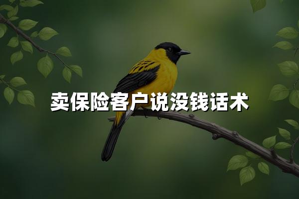 卖保险客户说没钱话术 如何跨越财务心理障碍