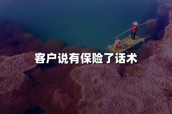 客户说有保险了话术 如何优雅应对这一温柔拒绝