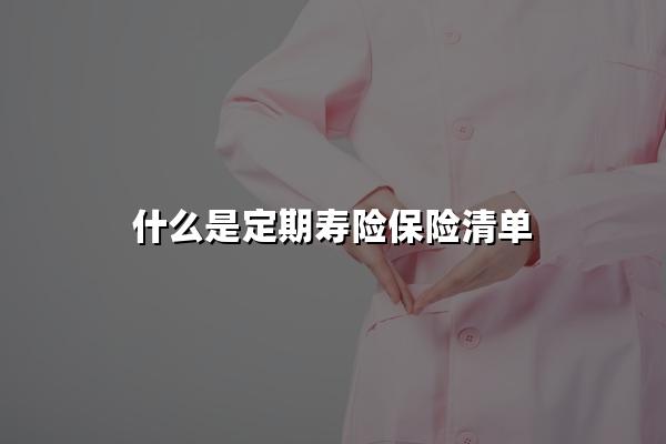 什么是定期寿险保险清单，定期寿险保险清单怎么查询