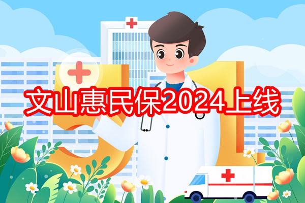 文山惠民保2024上线，文山惠民保2024投保指南时间+价格+保障