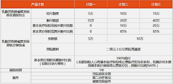 2024年了解各保险公司乳腺癌复发险产品，少走弯路，附产品推荐