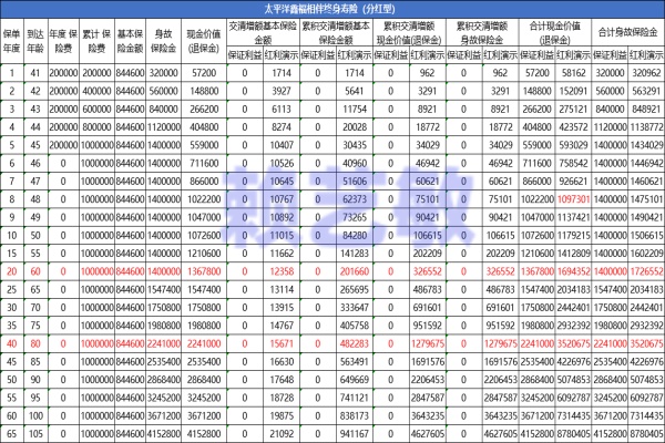 终身寿险怎么选？2024热门产品推荐与投保攻略