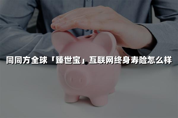 同方全球「臻世宝」互联网终身寿险怎么样?领多少钱?现金价值+案例