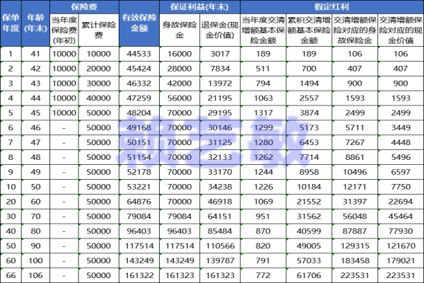 人保大爱传世终身寿险（分红型）怎么买？投入5万能产生多少收益