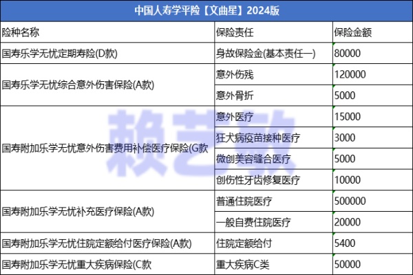 中国人寿学平险【文曲星】2024版怎么样？值得买吗？价格表