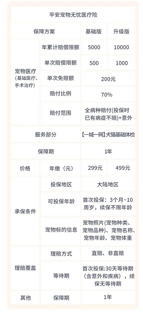 狗狗有保险买吗？2024宠物保险哪些比较靠谱？附价格表