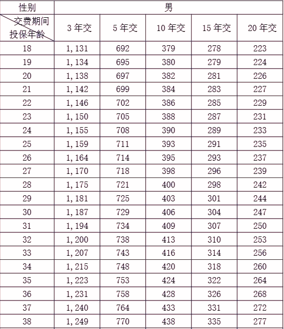 人保寿险百万身价2024两全保险怎么样?多少钱?费率表+产品优势