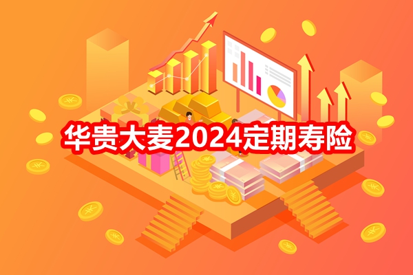 华贵大麦2024定期寿险价格表，大麦2024定期寿险投保案例分析+特色