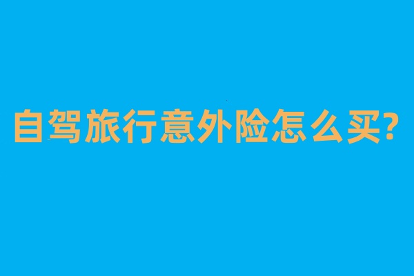 自驾旅行意外险怎么买?自驾旅行意外险多少钱?