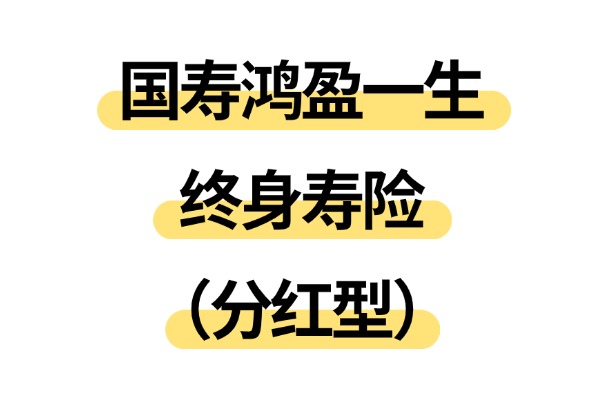 国寿鸿盈一生终身寿险（分红型）怎么样？现金价值收益有多少？