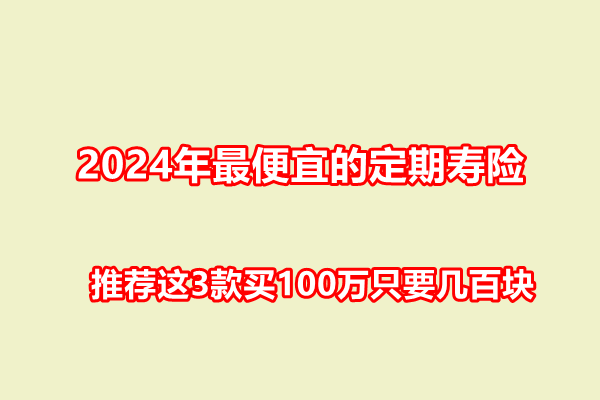 2024年最便宜的定期寿险，推荐这3款买100万只要几百块