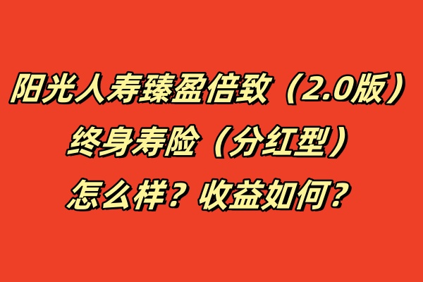 阳光人寿臻盈倍致（2.0版）终身寿险（分红型）怎么样？收益如何？