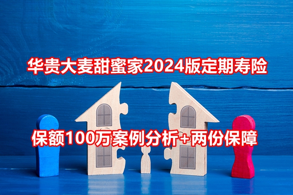 华贵大麦甜蜜家2024版定期寿险介绍，保额100万案例分析+两份保障