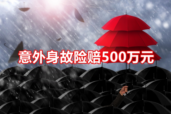 意外身故险赔500万元，2024年意外死亡赔偿500万需要交多少钱