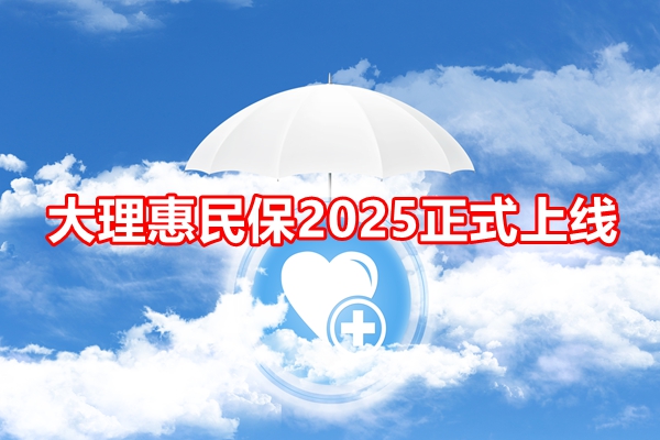 大理惠民保2025正式上线，大理惠民保2025详细介绍+参保时间