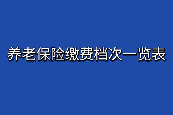 2024年养老缴费价格表，2024养老保险缴费档次一览表