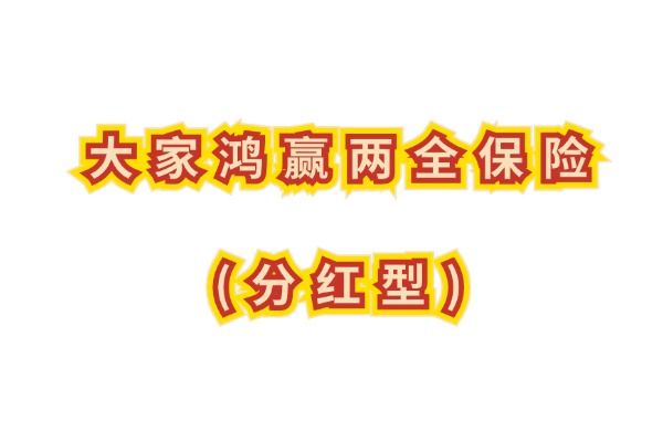 大家鸿赢两全保险（分红型）怎么样？6年满期能领到多少钱？