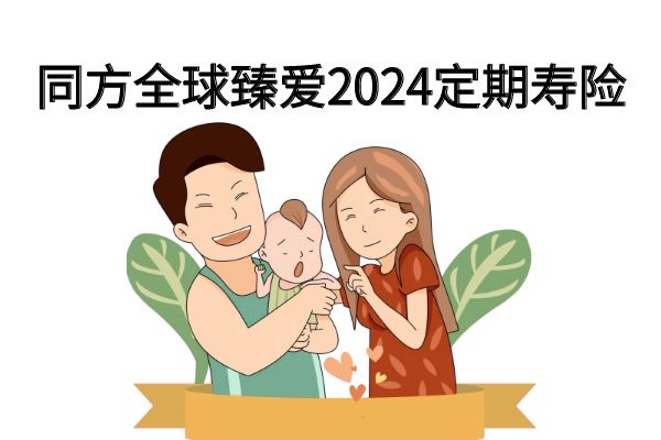 同方全球臻爱2024定期寿险投保入口+条款+保费测算+优缺点