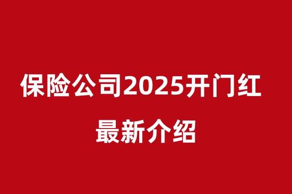 各大保险公司2025开门红都有哪些？，2025保险公司最新开门红介绍