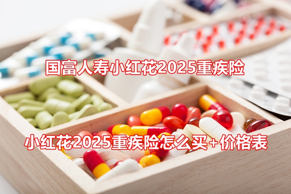 国富人寿小红花2025重疾险条款介绍，小红花2025重疾险怎么买+价格表