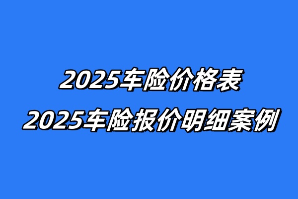 2025车险价格表，2025车险报价明细案例