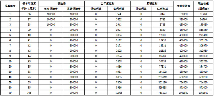 阳光人寿阳光玺2024(典藏版)终身寿险(分红型)怎么样?收益如何