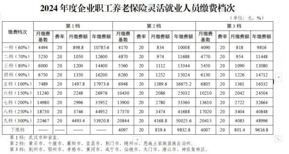 官方最新公布：2024-2025年度武汉社保缴费比例及缴费基数