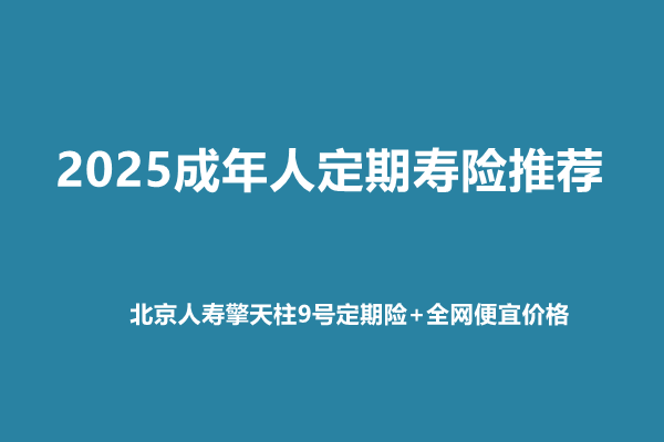 2025成年人定期寿险推荐：北京人寿擎天柱9号定期险+全网便宜价格