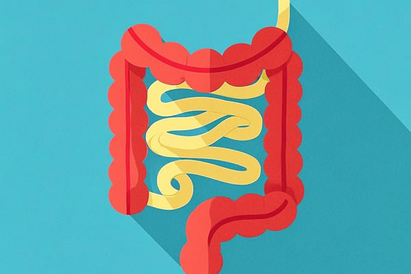 国任·常惠宝结直肠癌复发险怎么样?好不好?康复特药100%报销!