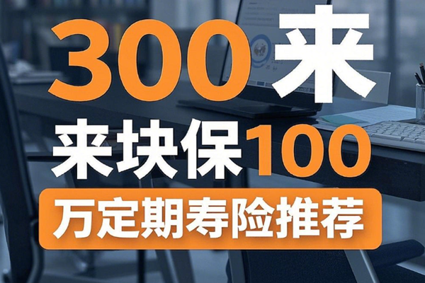 300来块保100万定期寿险推荐：定海柱6号定期寿险+投保案例分享