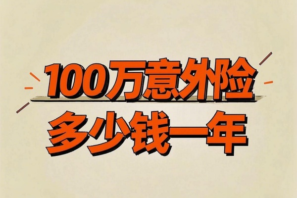 100万意外险多少钱一年，2025年100万意外险怎么买